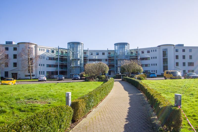 Main Image